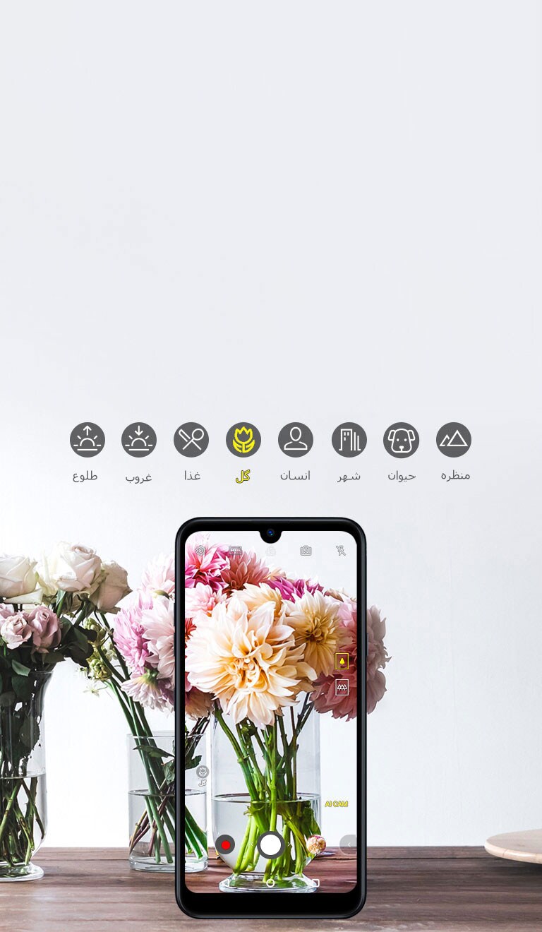 عکسبرداری آسان، طراحی‌شده برای شما2