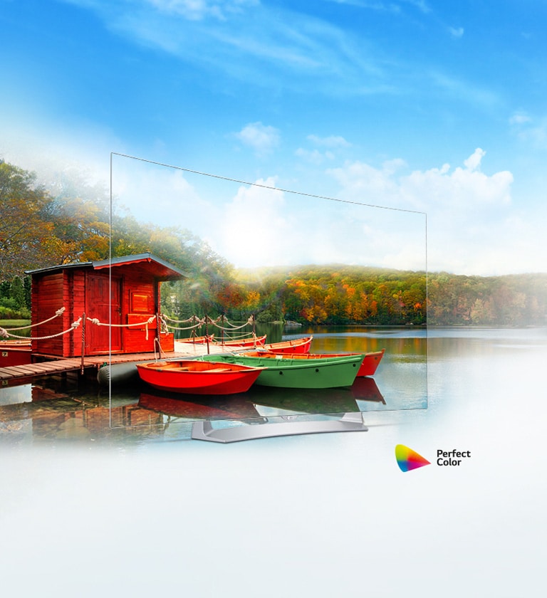 رنگ‌های تمام عیار2