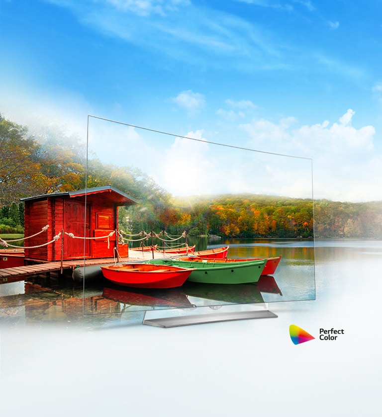 رنگ‌های تمام عیار2