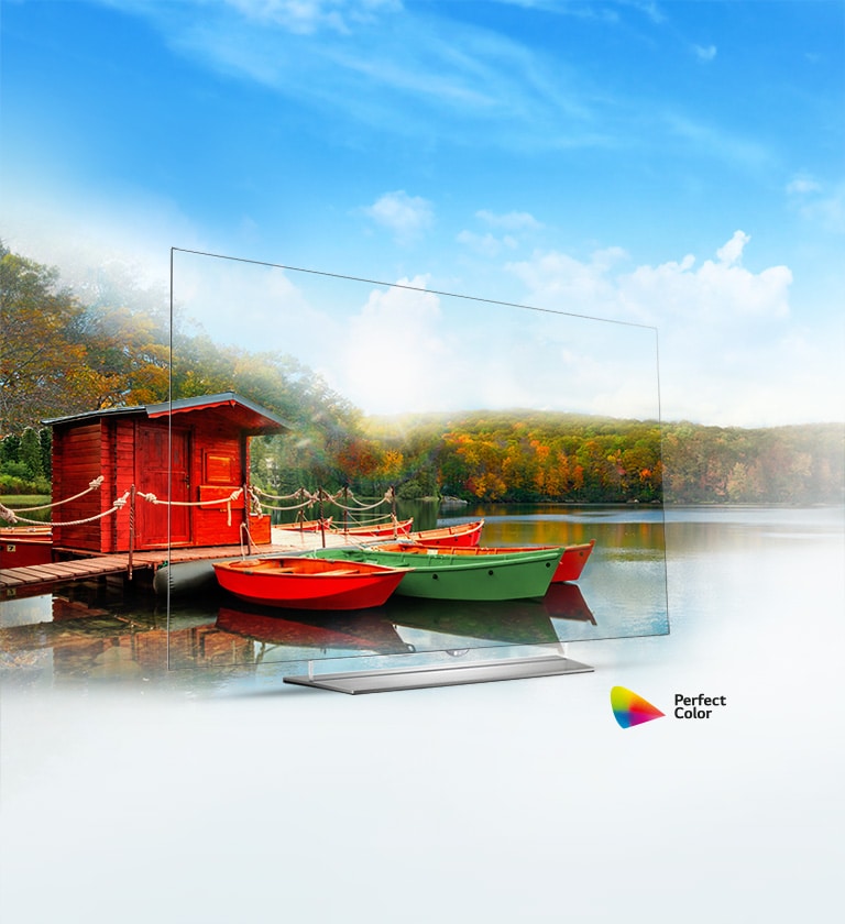 رنگ‌های تمام عیار2