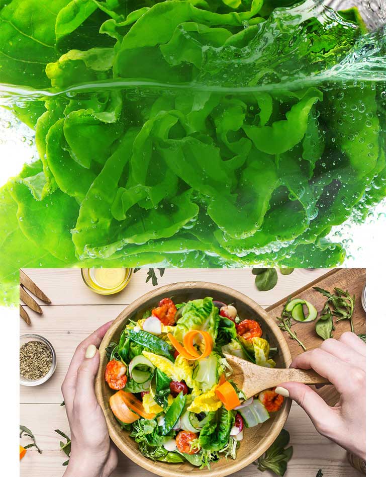 حفظ تازگی مواد غذایی برای مدت طولانی‌تر