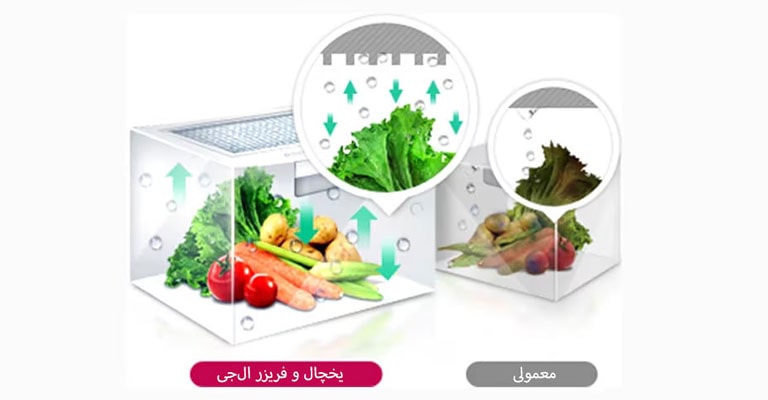 Moist Balance Crisper™‎ 