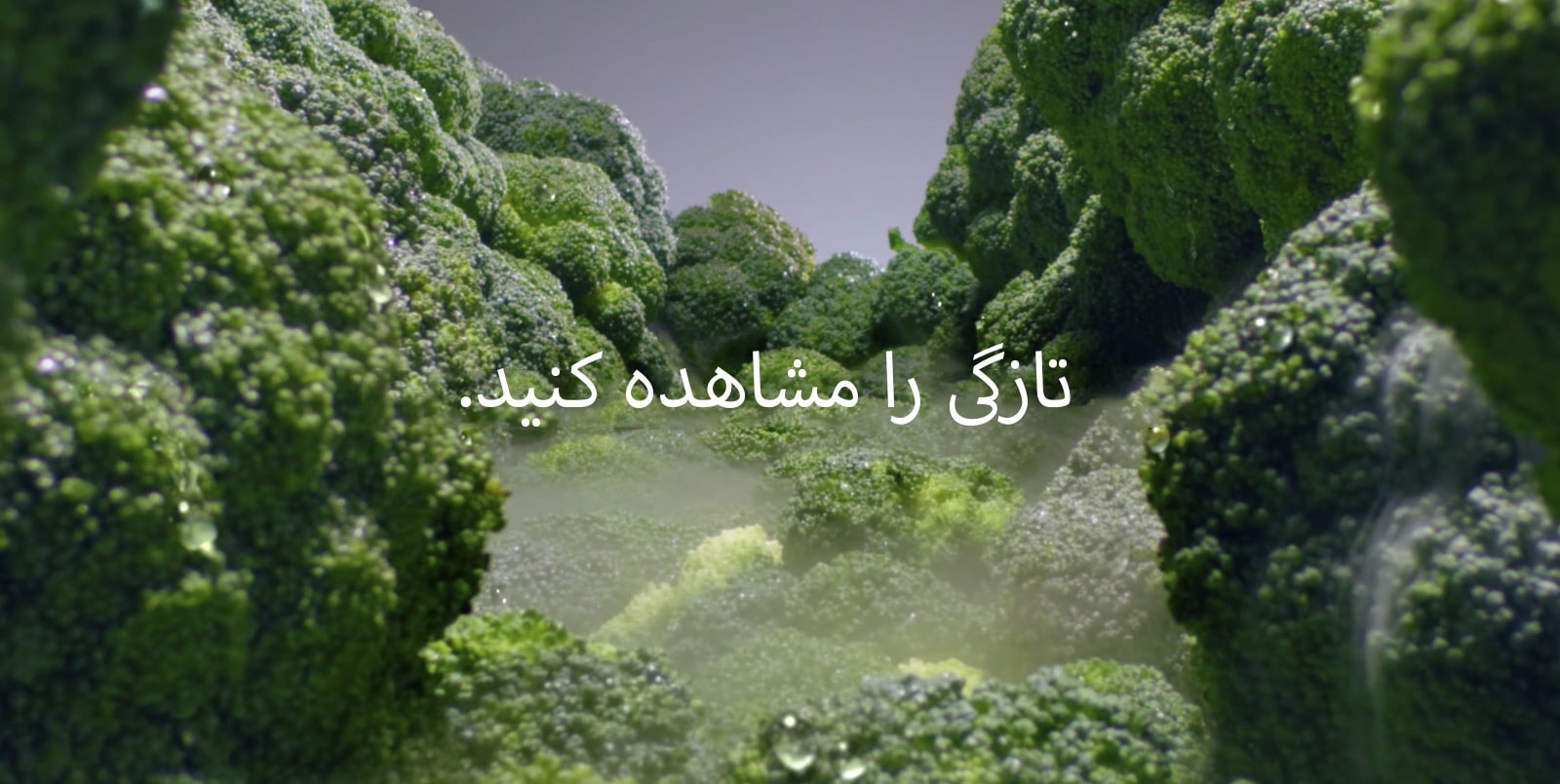 تازگی را مشاهده کنید.