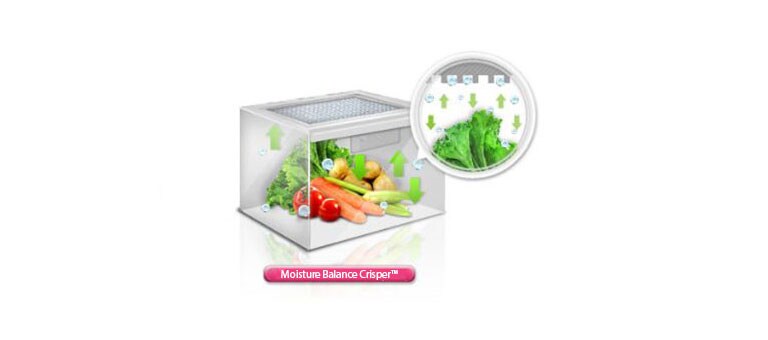 کشو با قابلیت حفظ رطوبت و تازگی مواد2