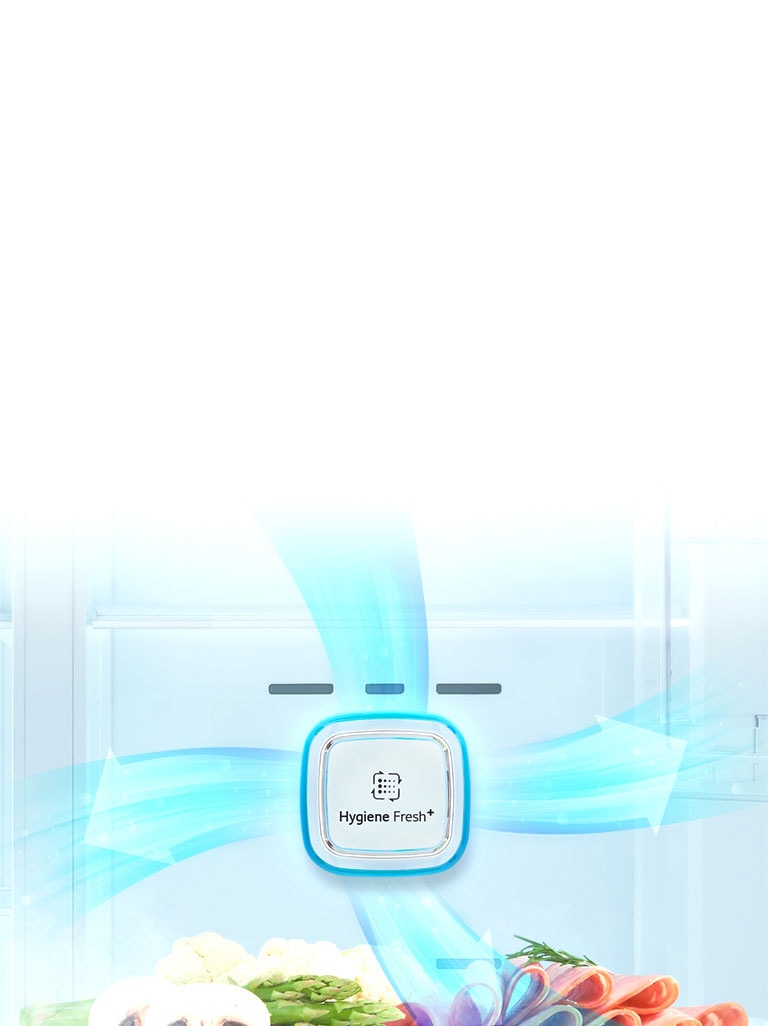 حداقل باکتری و بو، حداکثر تازگی