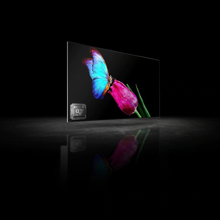 دو صفحه تلویزیون مشاهده می‌شوند (یکی در سمت چپ و دیگری در سمت راست). تصاویر یکسانی از یک پروانه آبی در حال مکیدن شهد گل صورتی نشان داده می شوند. تصویر سمت چپ کمی مات است در حالی که تصویر سمت راست بسیار واضح است. 