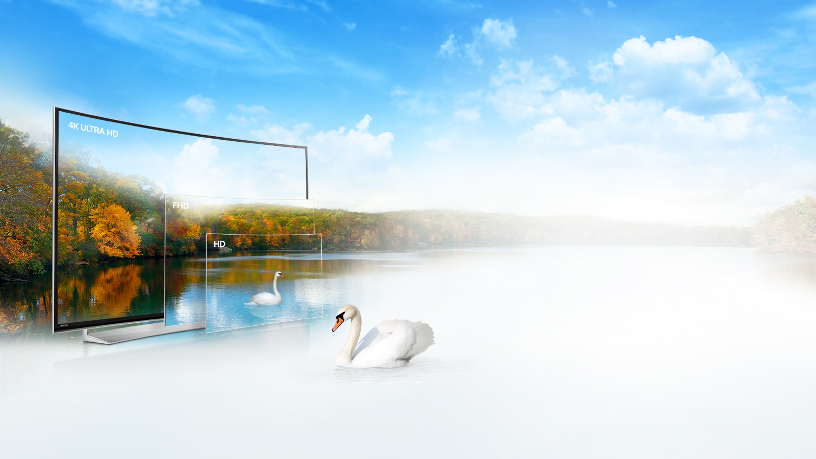  وضوح تصویر 4K