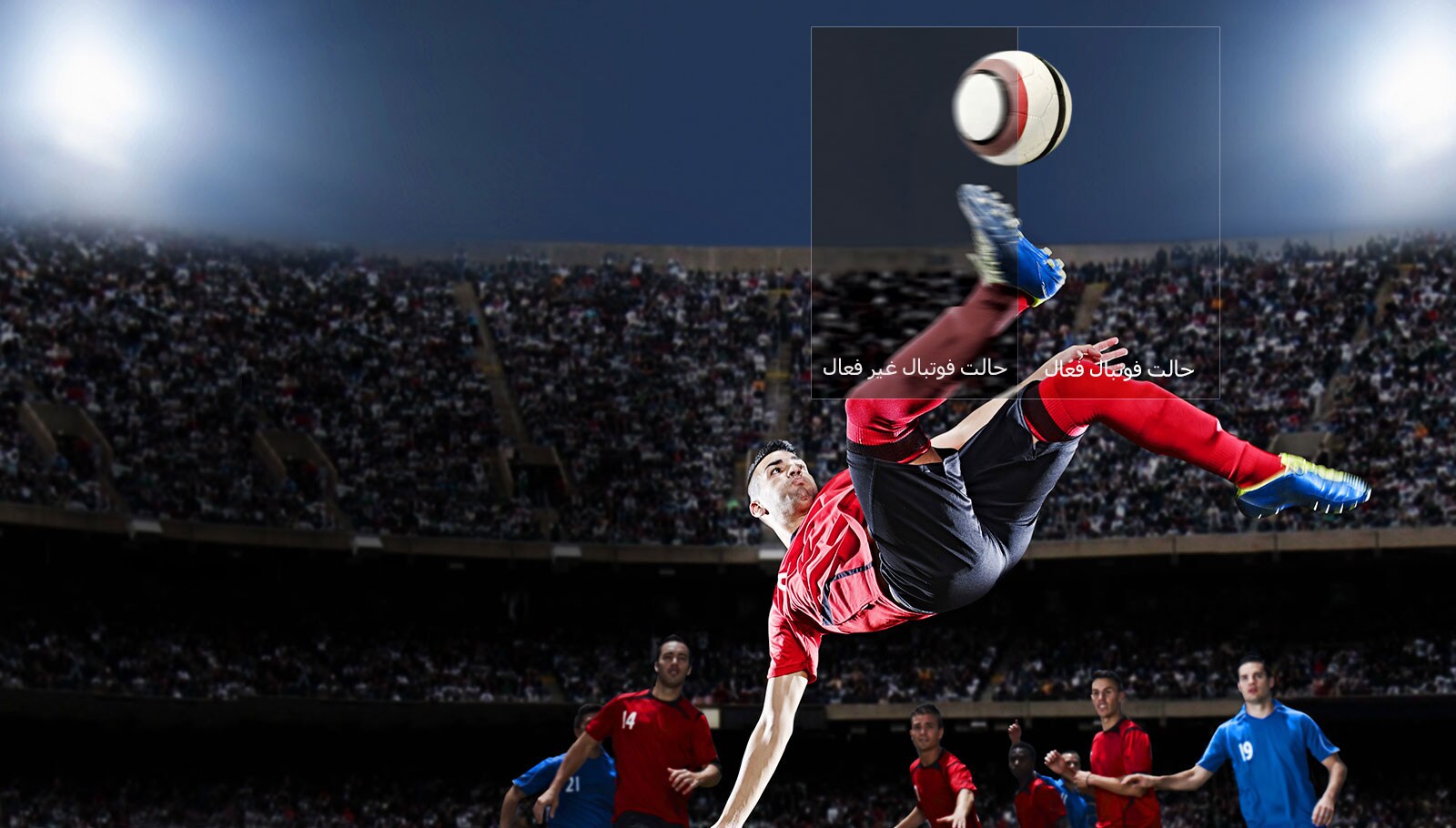 استاذیوم فوتبال در اتاق نشیمن شما1