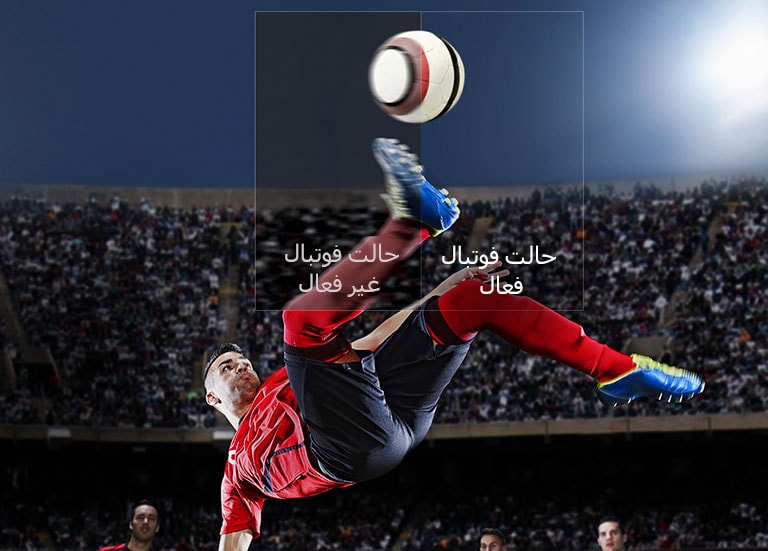 استاذیوم فوتبال در اتاق نشیمن شما2