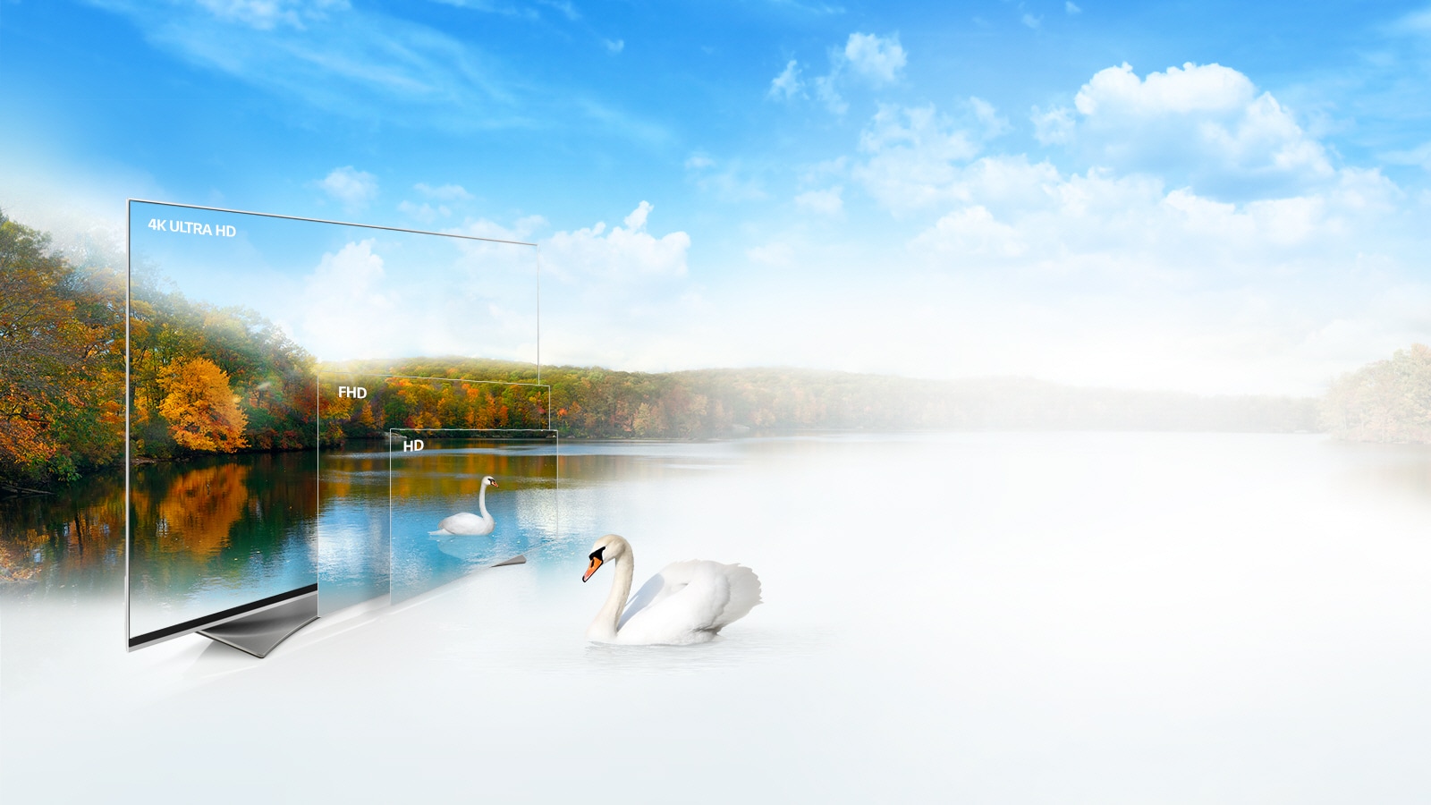  وضوح تصویر 4K