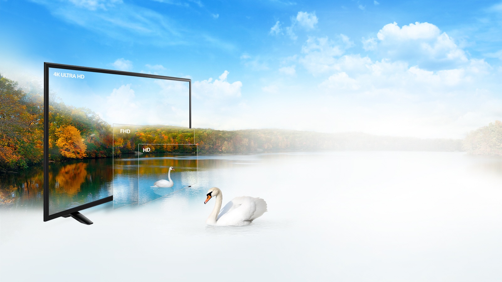  وضوح تصویر 4K