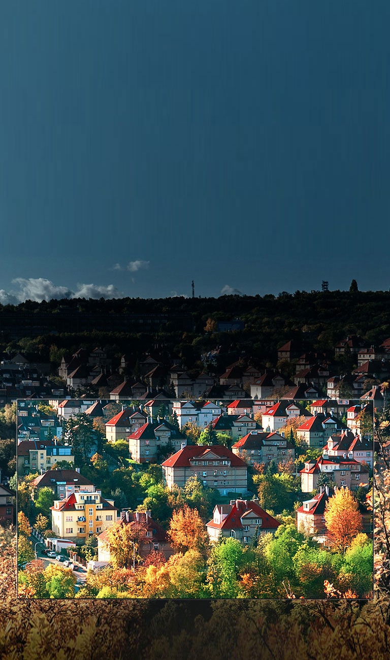 رنگ‌های باشکوه با صفحه نمایش ™NanoCell<br>2