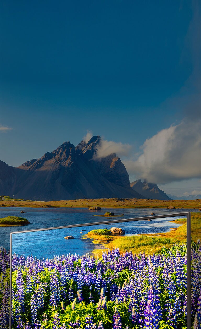 تحولی در رنگ و وضوح تصویر با ویژگی Full HD2