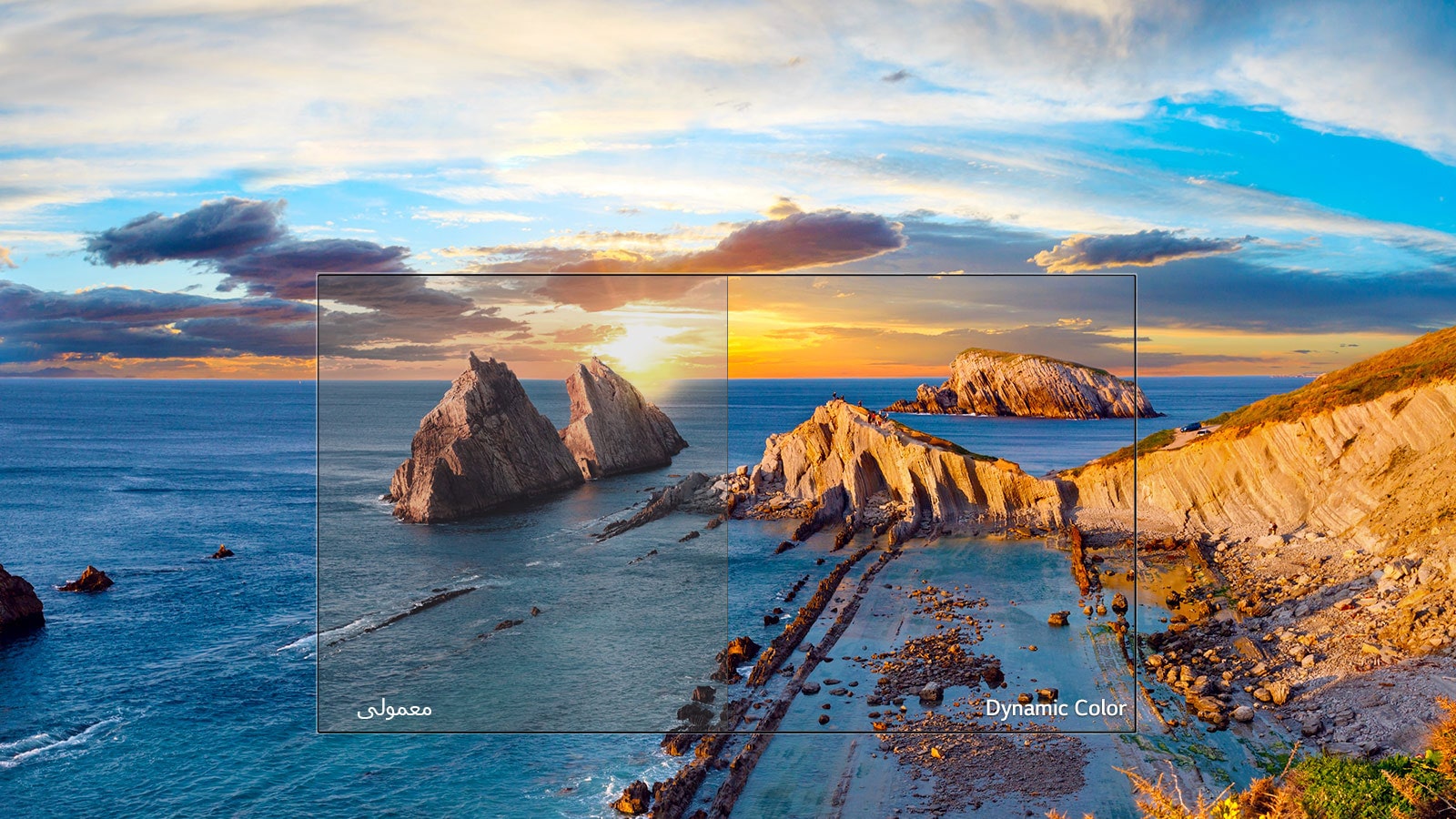   رنگ پویا  <br>1