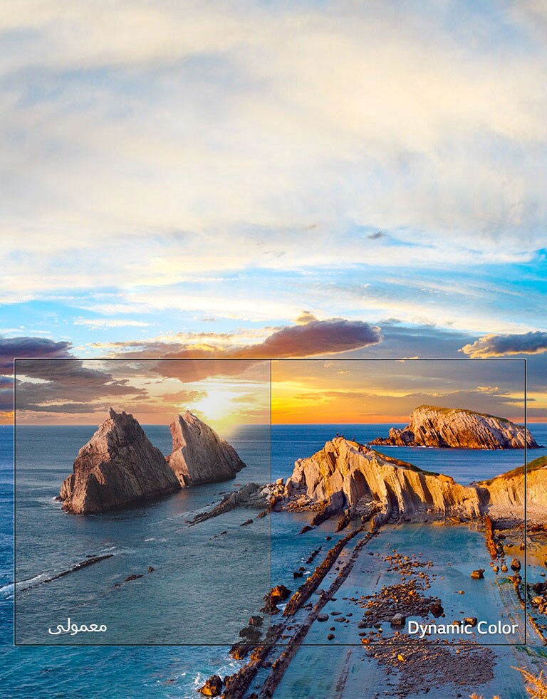   رنگ پویا  <br>2