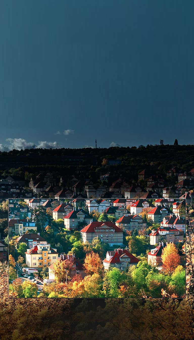 رنگ‌های باشکوه با صفحه نمایش ™NanoCell<br>2