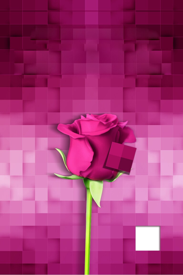 تطبیق رنگ سه‌بعدی2