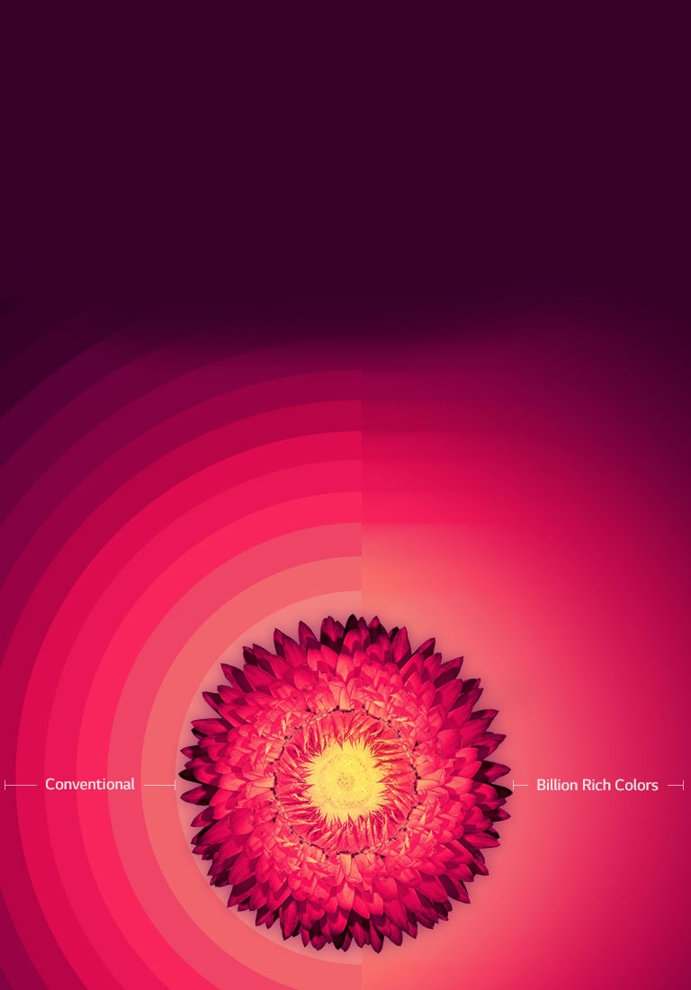 میلیاردها رنگ غنی2