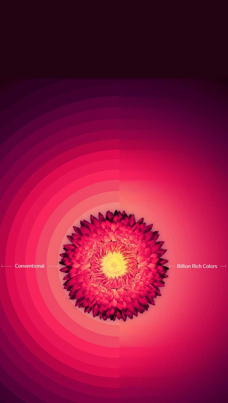 میلیاردها رنگ غنی2