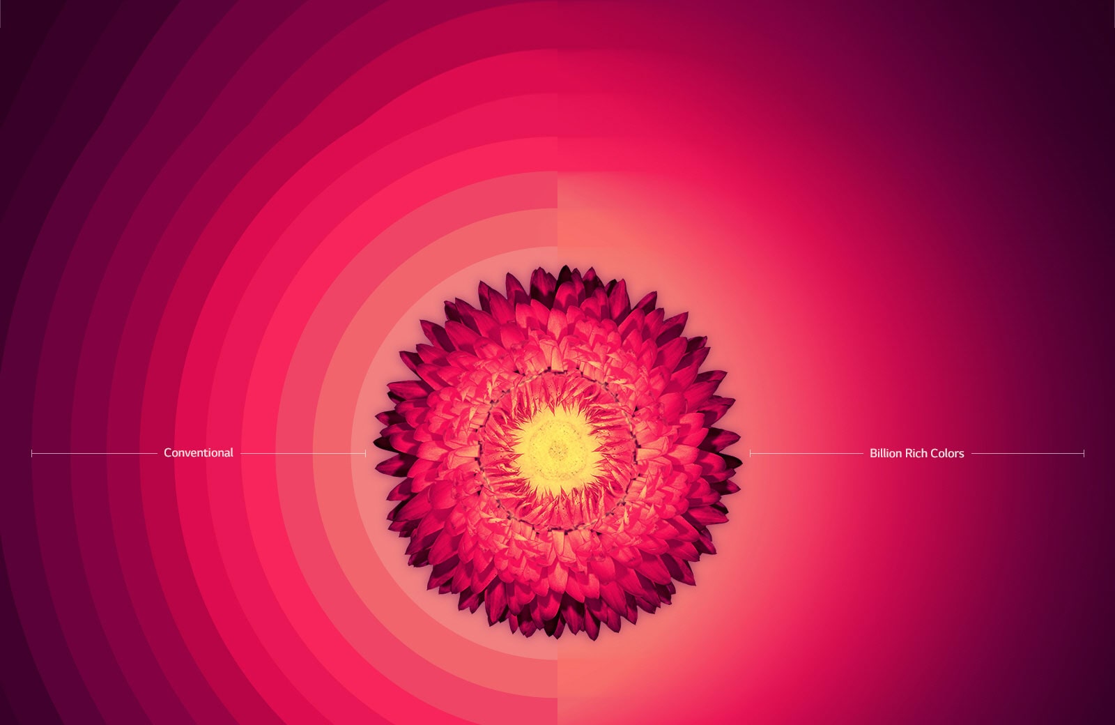 میلیاردها رنگ غنی1