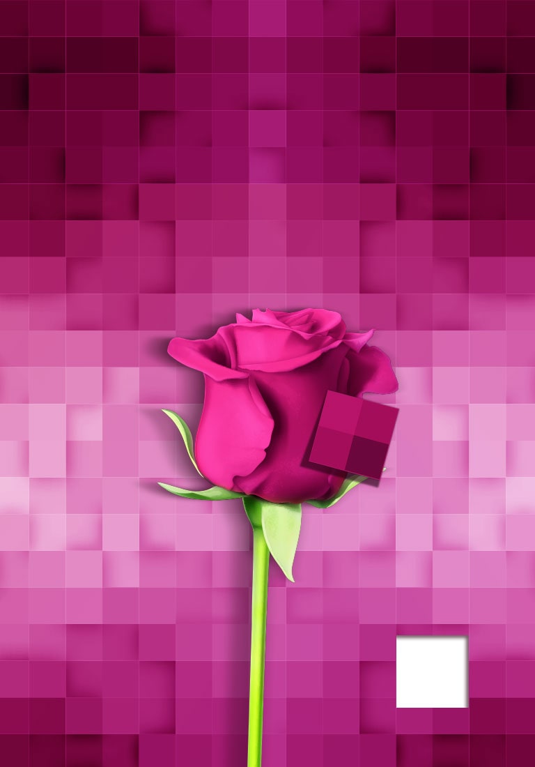 تطبیق رنگ سه‌بعدی2