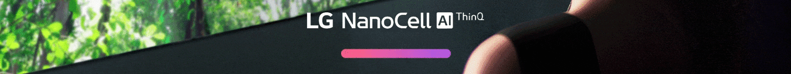 AI_disclaimer_NanoCell_D