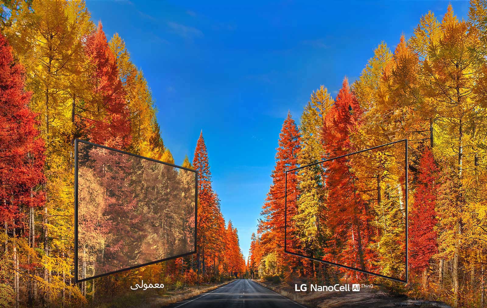 نمایش حقیقت رنگ‌ها در تلویزیون<br>1