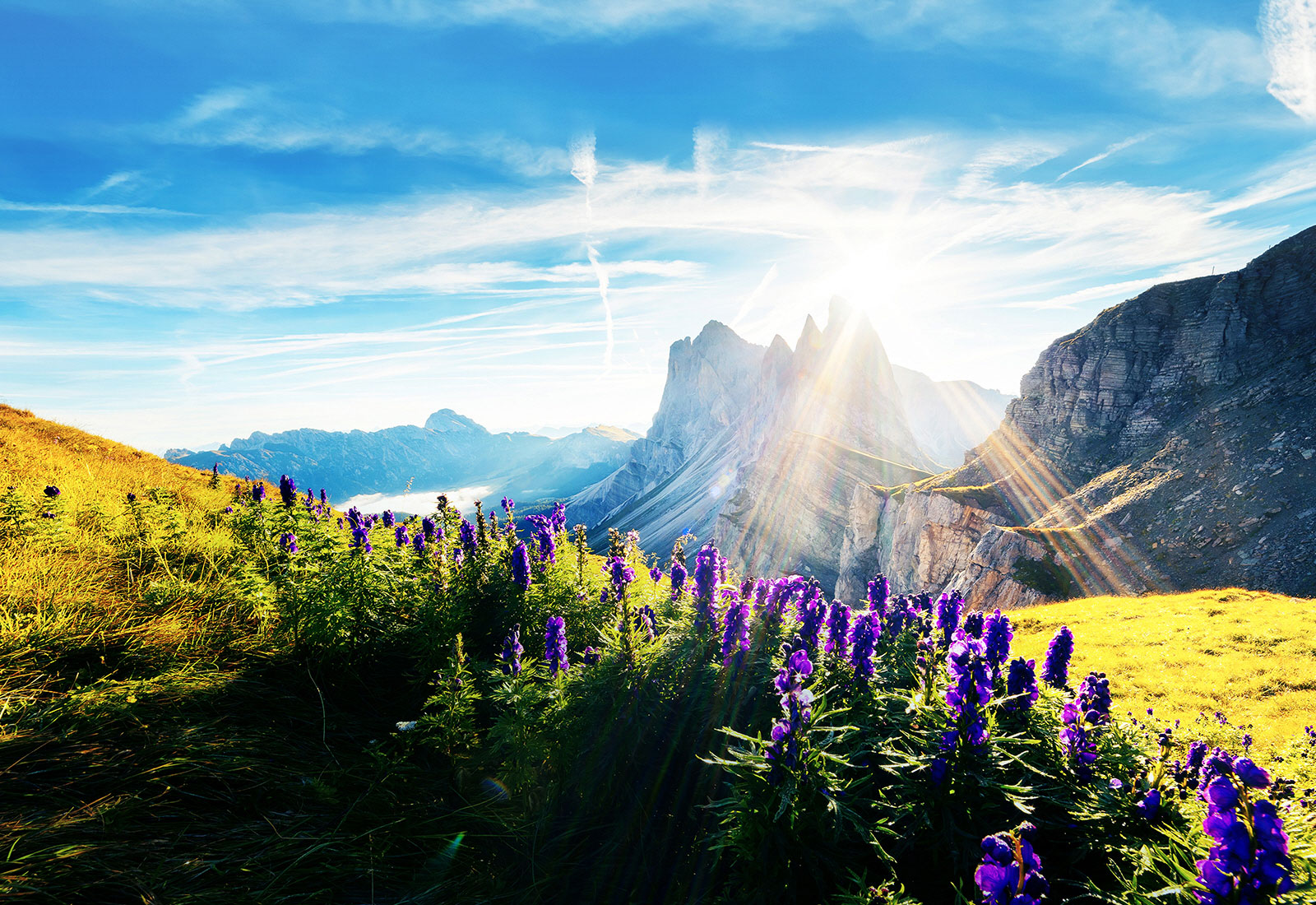 سازگاری با انواع فرمت HDR1