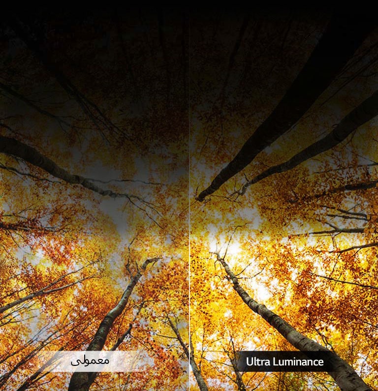 حداکثر روشنایی<br>2