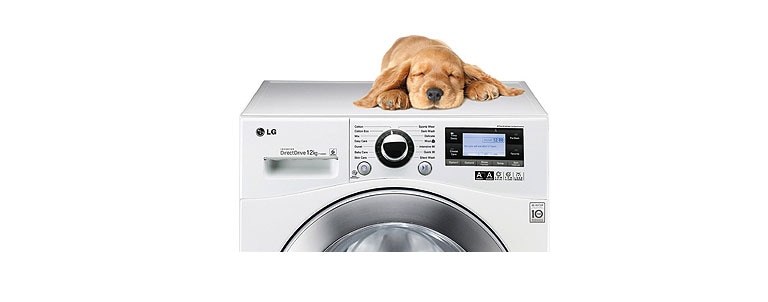 سیستم بی‌صدا2