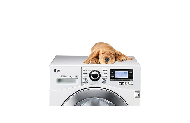 زمزمه ای تا حد خاموشی