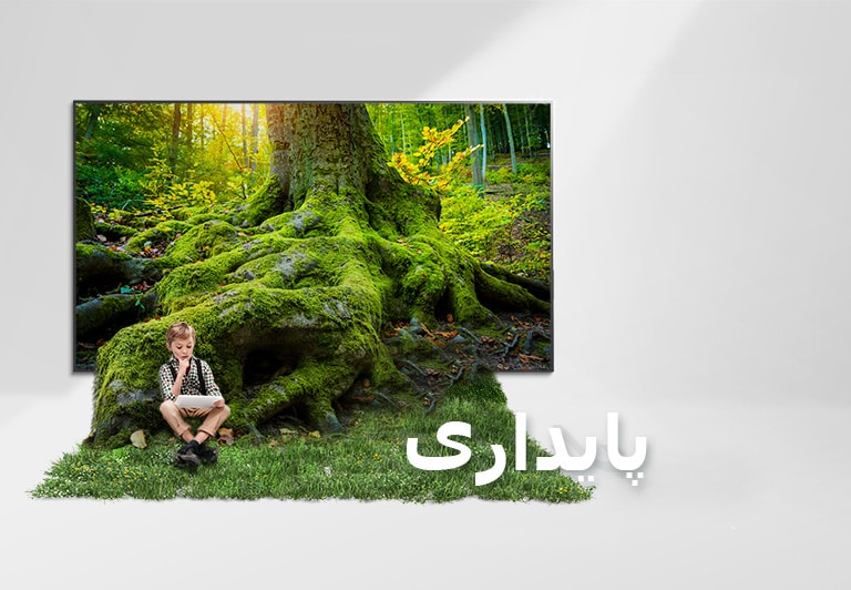 ریشه ای از درخت غول پیکر از صفحه تلویزیون بیرون زده و زمین را با چمن پوشانده است. کودکی بر روی چمن نشسته است.