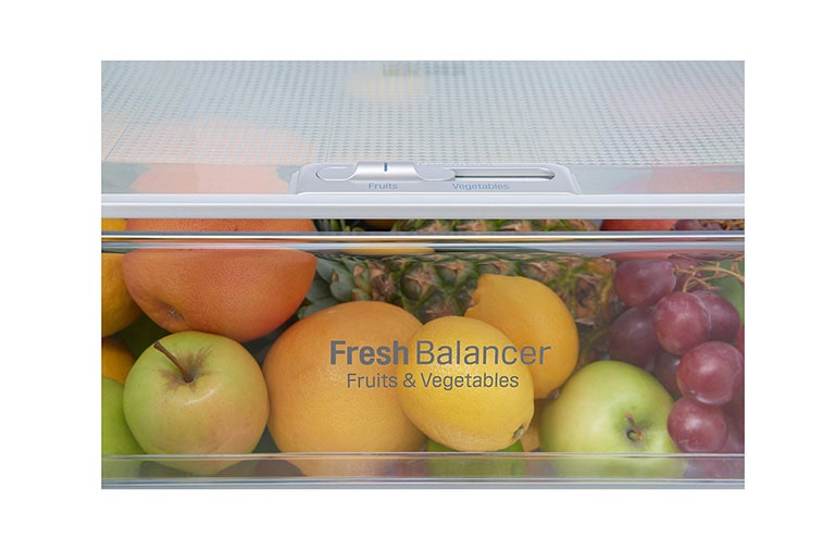 LG ال‌جی، یخچال پایین فریزر، 347 لیتر، تیتانیوم, BF420TS, thumbnail 14