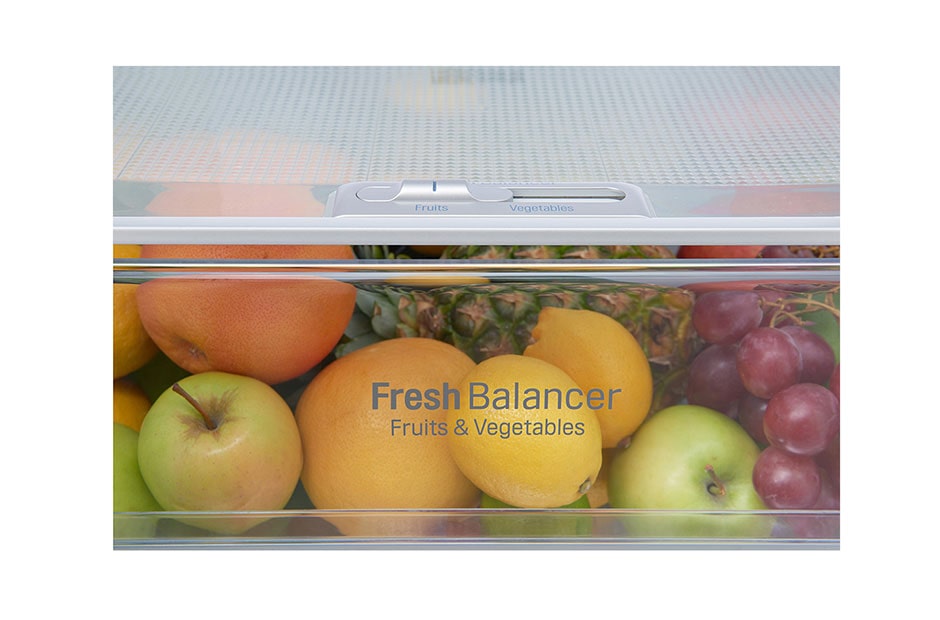 LG یخچال پایین فریزر , BF42TS, thumbnail 15