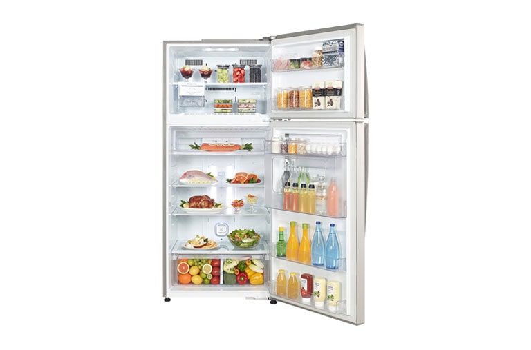 LG یخچال بالا فریزر ال‌جی, TF66TS, thumbnail 6