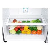 LG ال‌جی، یخچال بالا فریزر، 438 لیتر، تیتانیوم, TF540TS, thumbnail 9