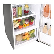 LG ال‌جی، یخچال تک درب، 313 لیتر، نقره‌ای پلاتینیومی, Fresh Zone, GC-F411ELDM, thumbnail 6