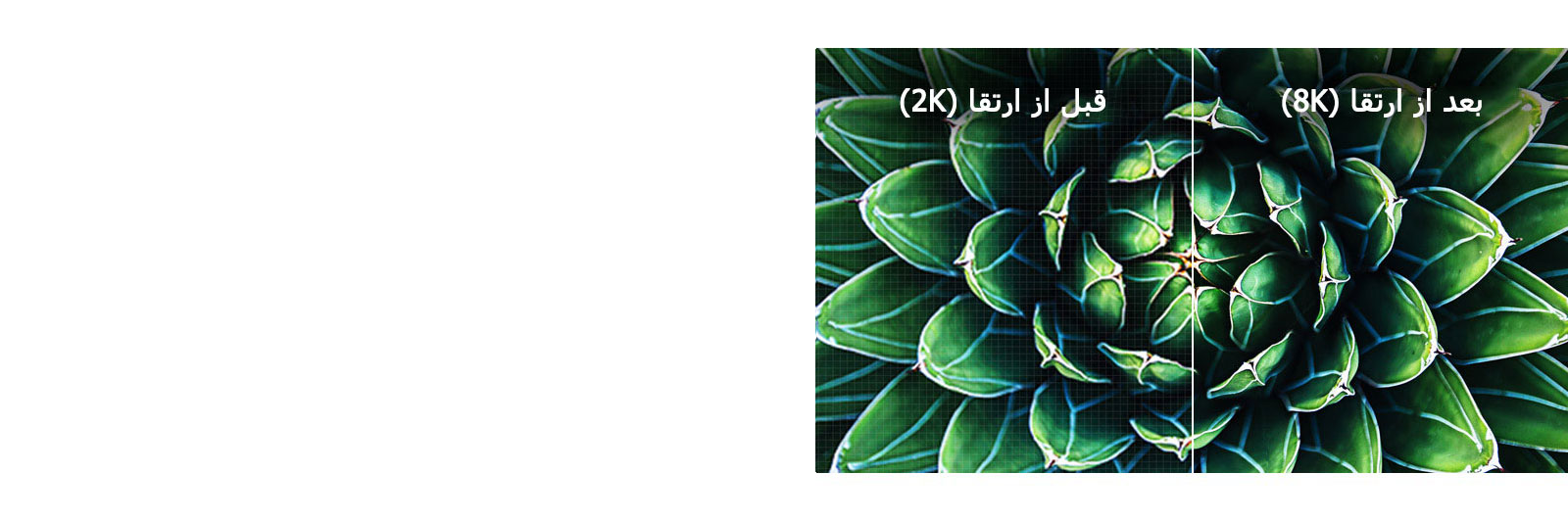 تصاویر قبل و بعد از ارتقا 8K مقایسه شده‌اند. تصویر قبل تار است.