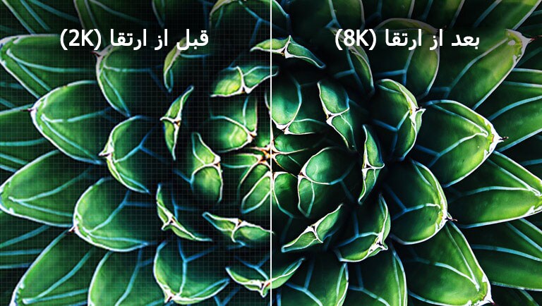 تصاویر قبل و بعد از ارتقا 8K مقایسه شده‌اند. تصویر قبل تار است.