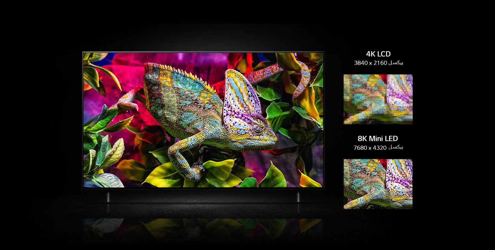 نمایشگر تلویزیون QNED آفتاب پرست رنگارنگی را روی برگ های رنگی نشان می دهد. در زیر تلویزیون QNED، دو تصویر کوچک و نمای نزدیک از بدن آفتاب پرست به همراه جزئیات پوست آن نشان داده می شود. در سمت چپ، نسخه 4K LCD و در سمت راست، 8K mini LED قرار دارد. تصویر 8K mini LED پویاتر و واضح تر است.