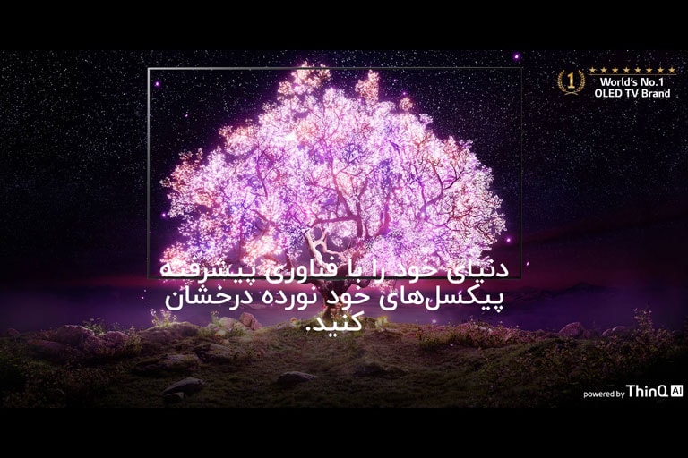 مدل های OLED LG در فضا چیده شده اند