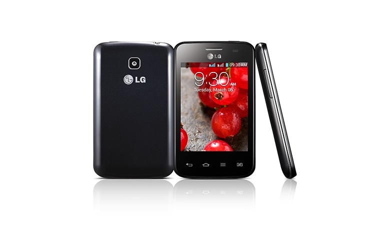 LG OPTIMUS L3II DUAL, E435