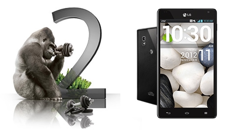 دوام بی‌رقیب