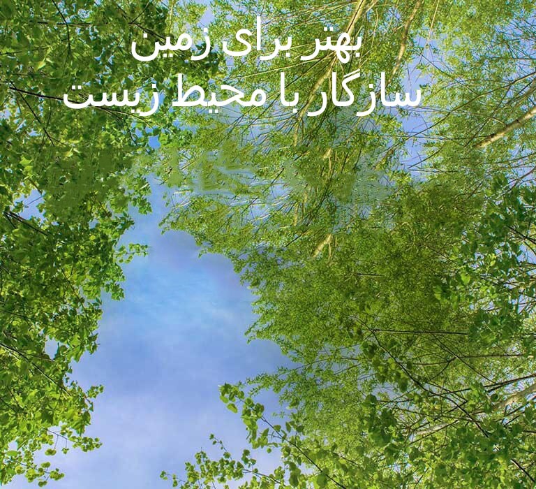 تصویر سبز و مملو از درختان پربرگ و آسمانی که از میان آنها مشاهده می‌شود.