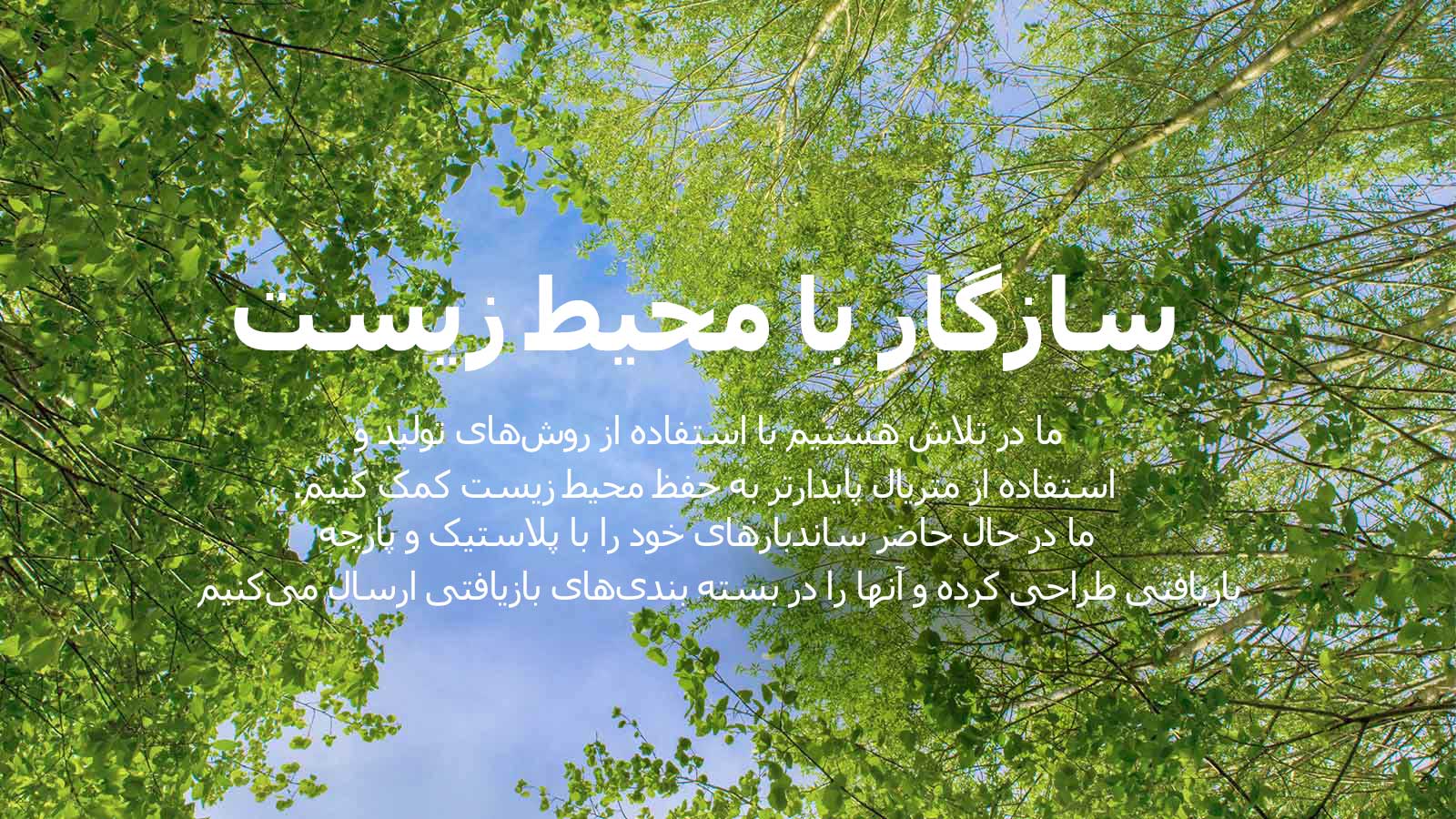 تصویر سبز و مملو از درختان پربرگ و آسمانی که از میان آنها مشاهده می‌شود.