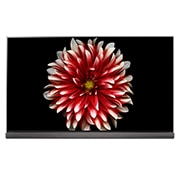 LG تلویزیون 65 اینچ LG SIGNATURE OLED G7 - 4K HDR, OLED65G7T, thumbnail 1