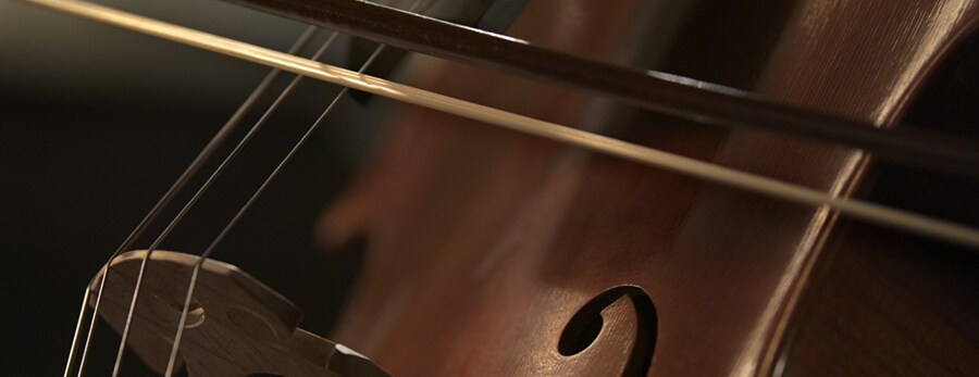 Img_LG SIGNATURE partner La Scala_violino
