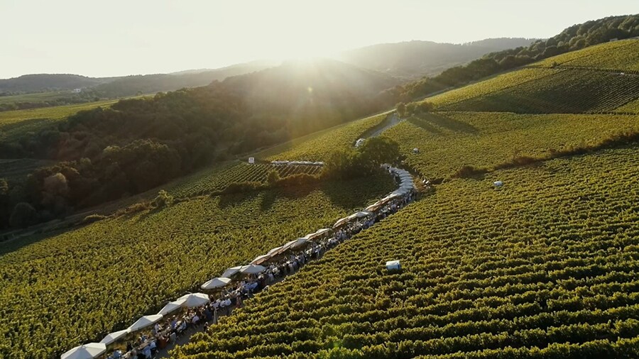 Insieme al Rheingau Musik Festival, LG SIGNATURE si impegna ad avvicinare ancora di più cultura e tecnologia.
