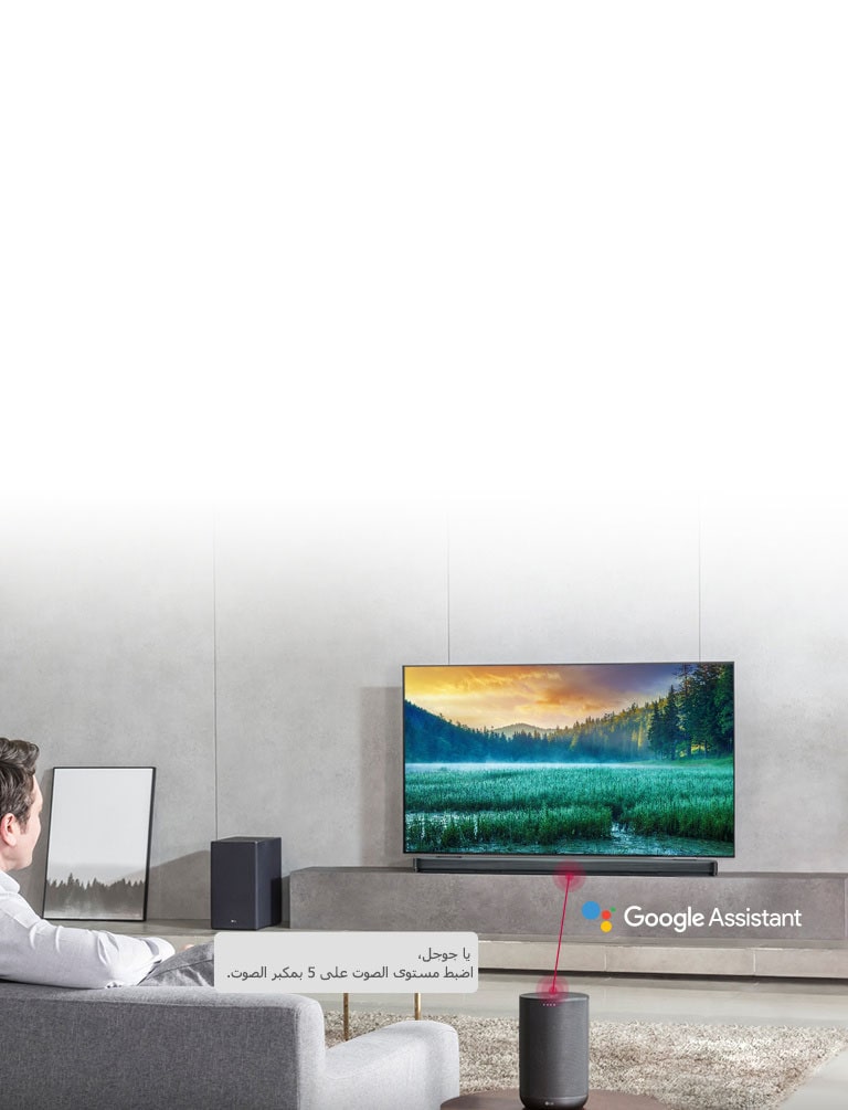يعمل الجهاز مع مساعد جوجل2