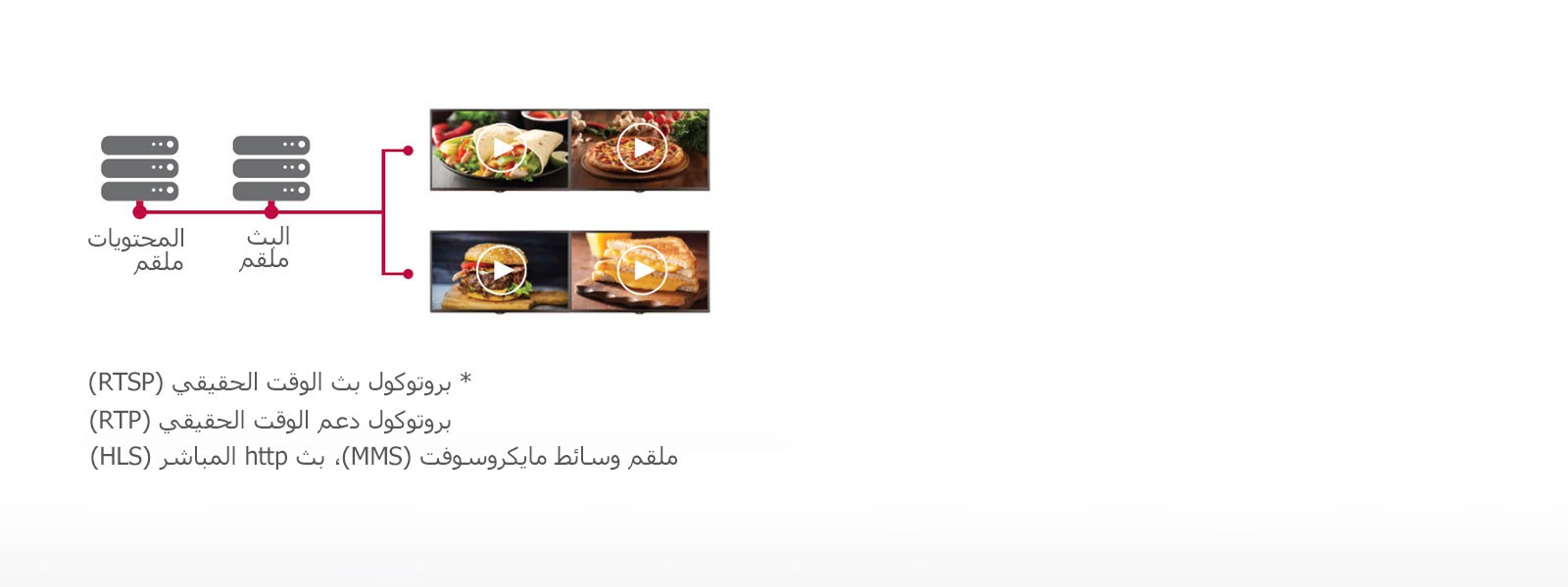 بروتوكول بث IP1